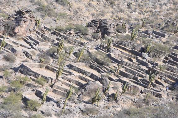 As ruínas de Quilmes, próximo à Cafayate - Argentina